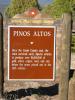 PICTURES/Santa Rita Mine & Pinos Altos Ghost Town/t_Pinos Altos Sign.JPG